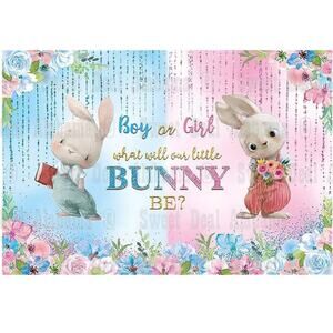 Bunny Gender Reveal Backdrop "Boy Or Girl What Will Our Little Bunny Be?"